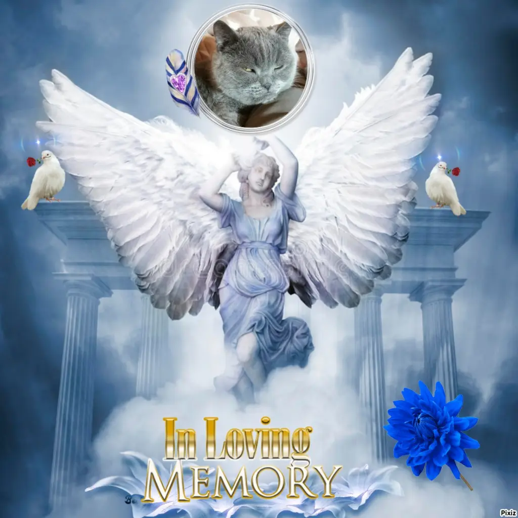 Condolence image of Tanja mit Timmy im Herzen