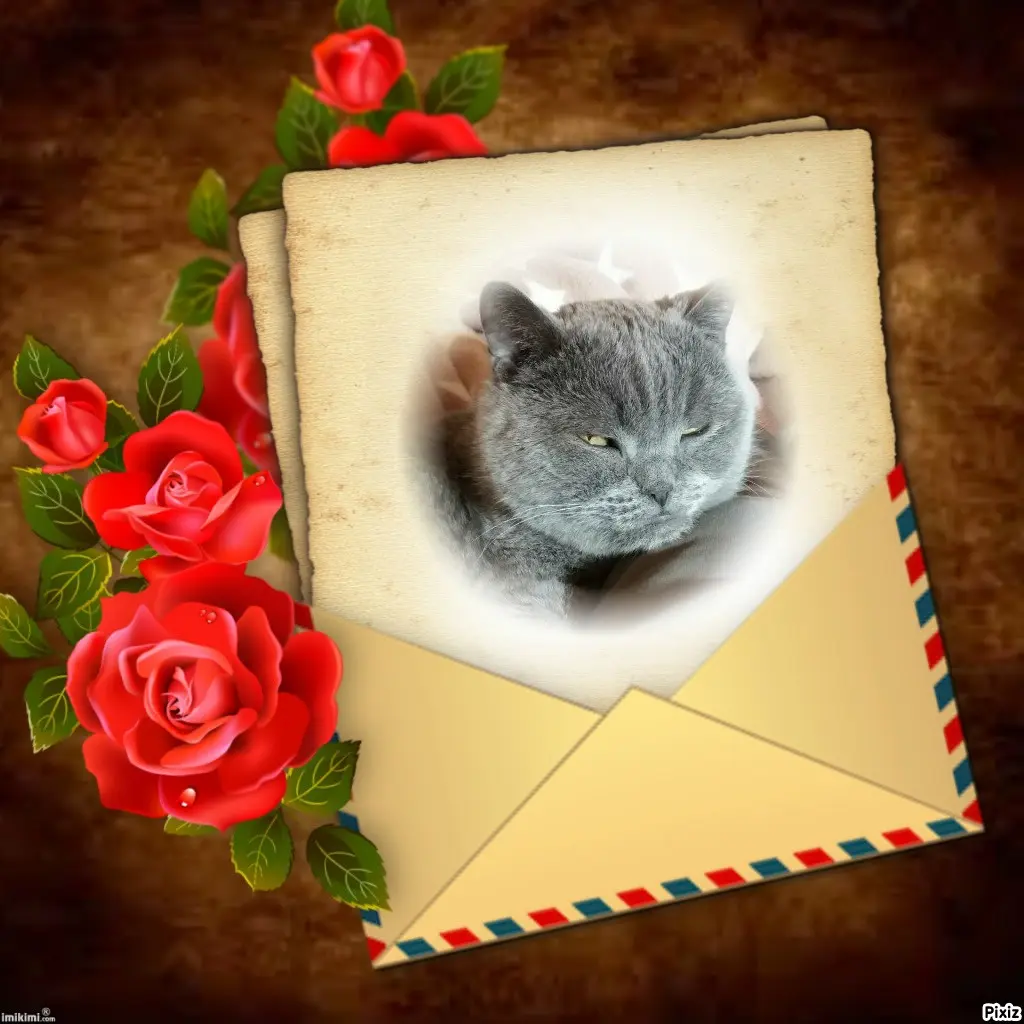 Condolence image of Post von Bärchen ❤
