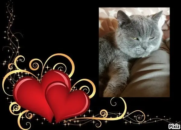 Condolence image of Tanja mit Timmy im Herzen