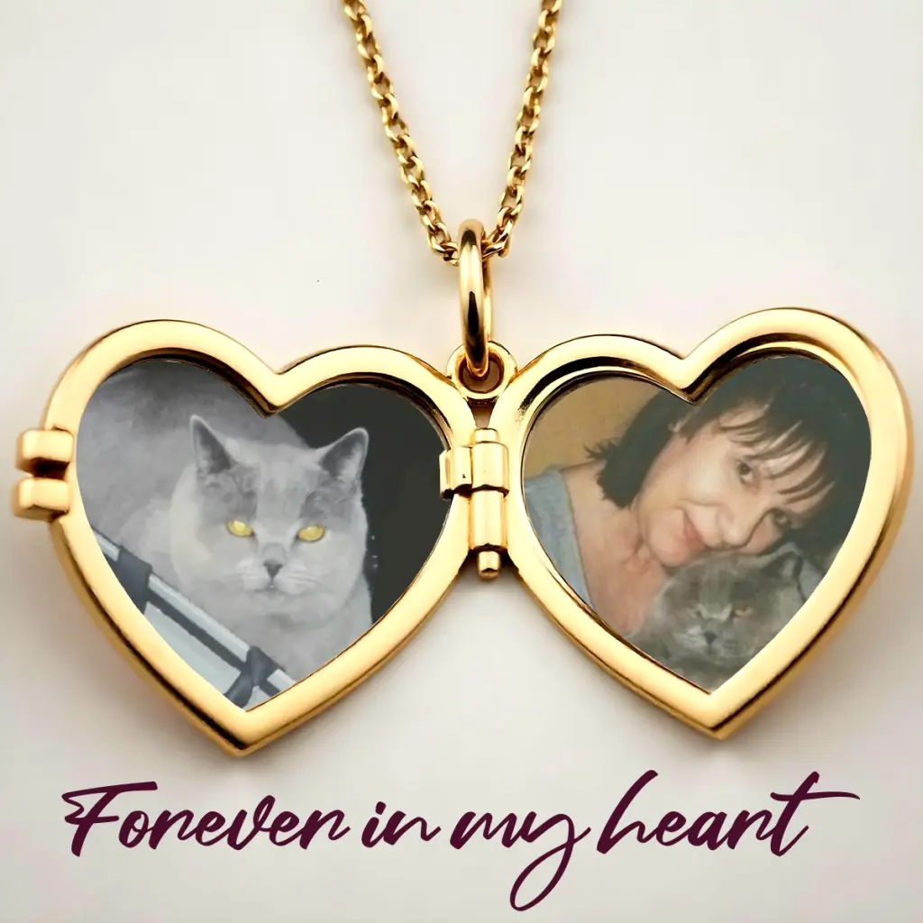 Condolence image of Frauchen♥️