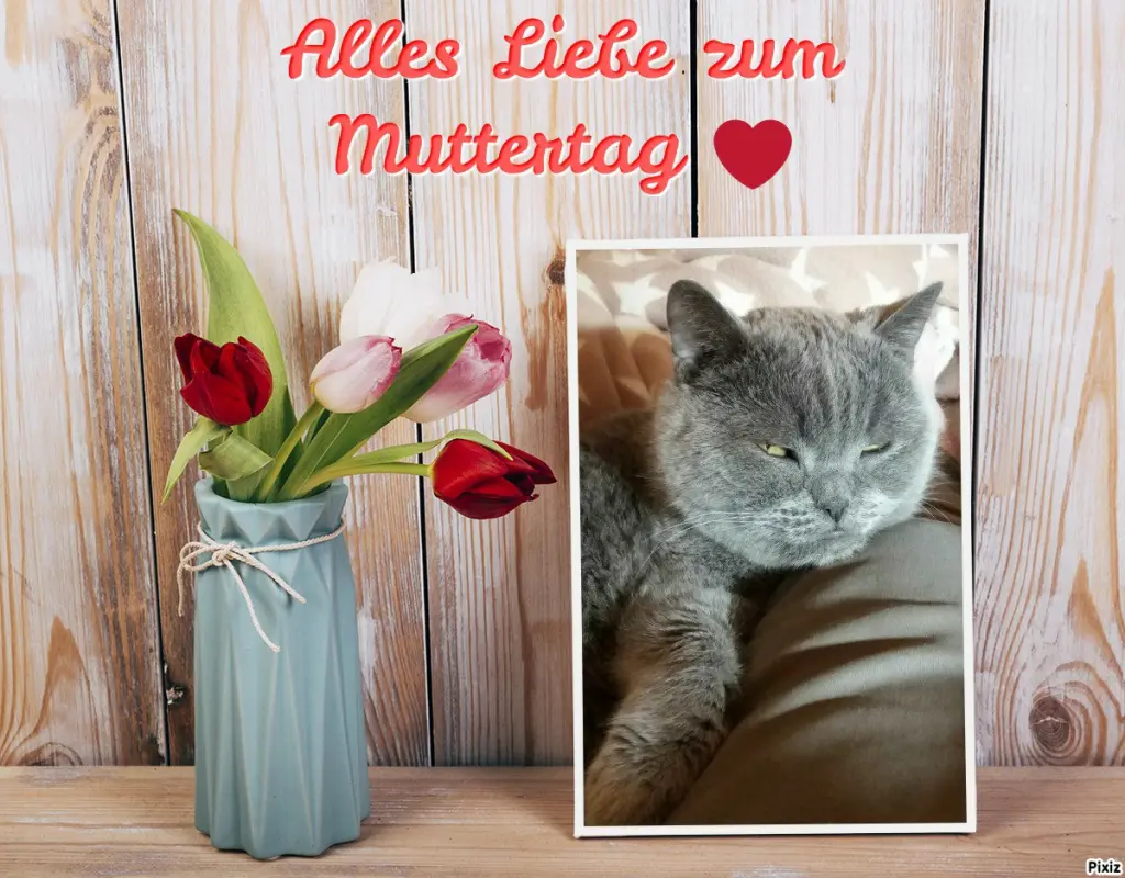 Condolence image of Post von Bärchen ❤