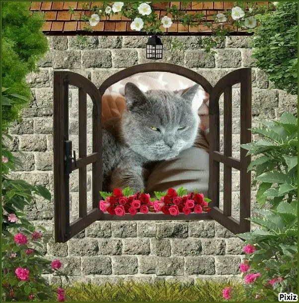 Condolence image of Tanja mit Timmy im Herzen