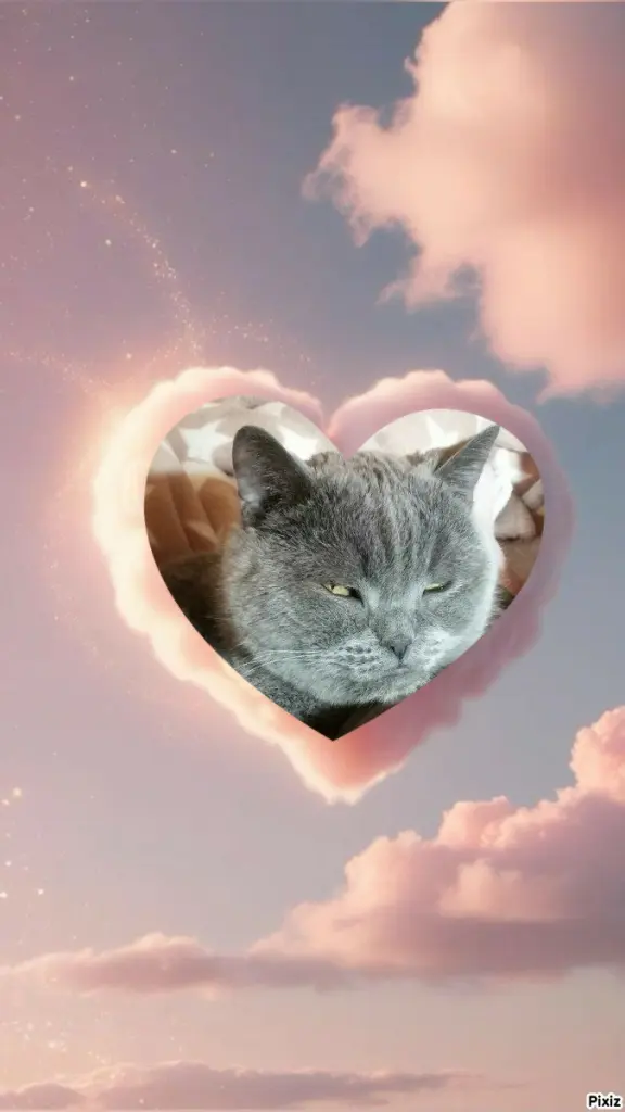 Condolence image of Tanja mit Timmy im ❤