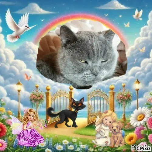 Condolence image of Tanja mit Timmy im 💘