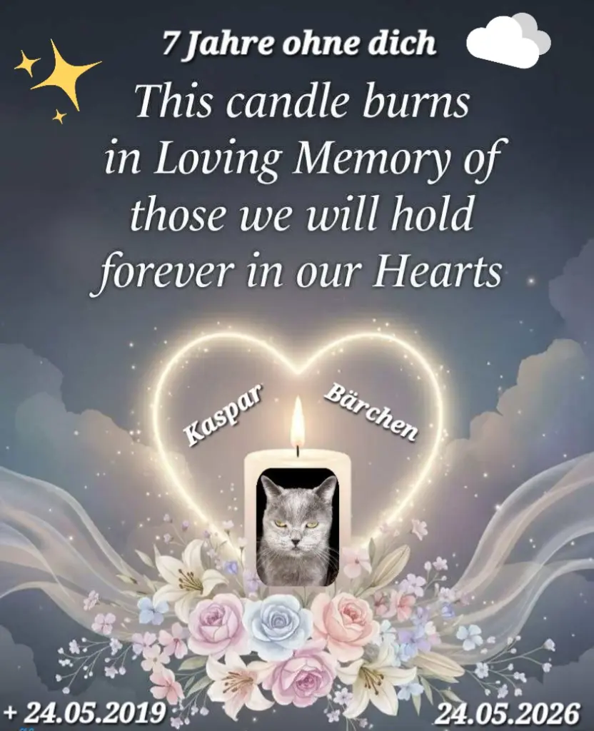 Condolence image of ✨Sternenküsse💋für Kaspar🪽 zum 7.Jahresgedenken🕯️🕯️🕯️🕯️🕯️🕯️🕯️