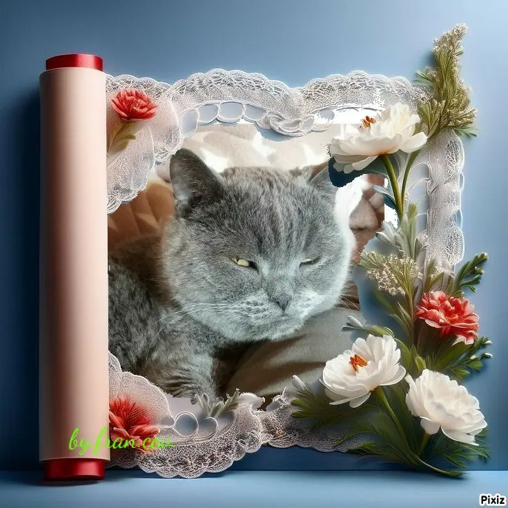 Condolence image of Post von Bärchen 💖🐈🐾