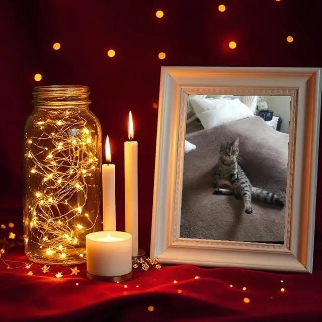 Condolence image of Silke, Cassy, Joyce und Emma❤️