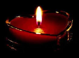 Condolence image of Für alle Tiere ohne NAMEN ⭐❤
