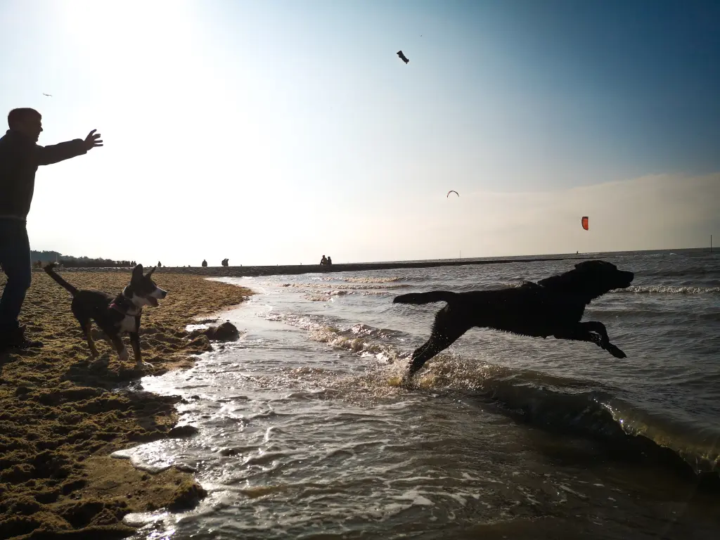 Andachtsbild von Regina