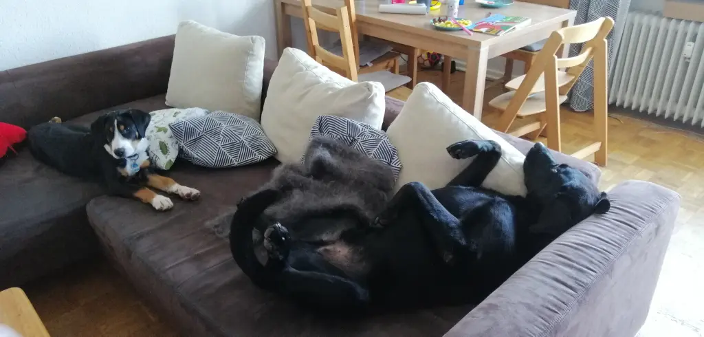 Andachtsbild von Sascha