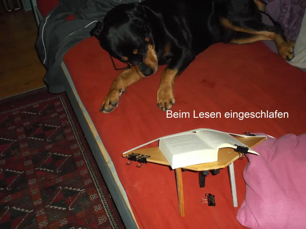 Image from Willi