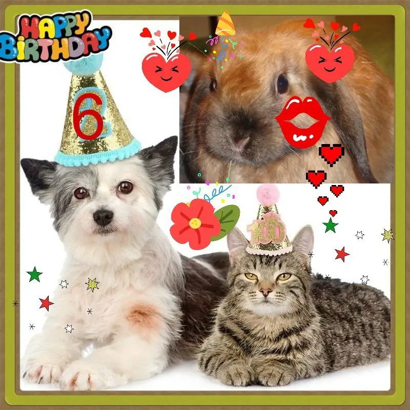 Andachtsbild von 13.Geburtstag❤️❤️❤️❤️❤️❤️❤️❤️❤️❤️❤️❤️❤️❤️