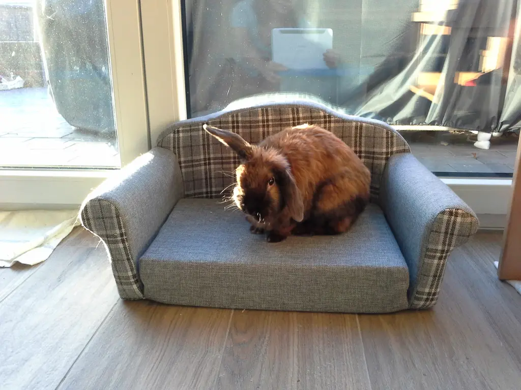 Andachtsbild von Papi & Mami