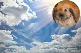 Andachtsbild von Misiu❤️❤️❤️⭐️fur Sammylein❤️⭐️