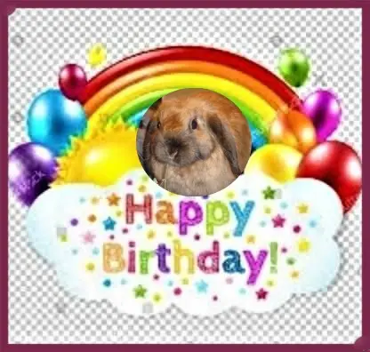 Andachtsbild von 14.Geburtstag❤️❤️❤️