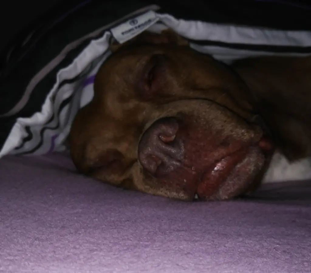 Bild von Shirly