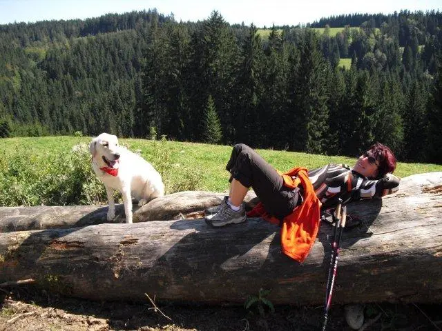 Andachtsbild von Unbekannt