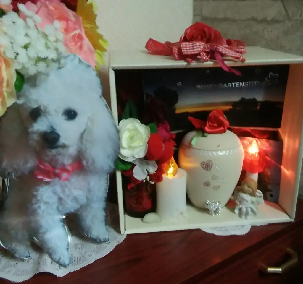 Andachtsbild von Angela