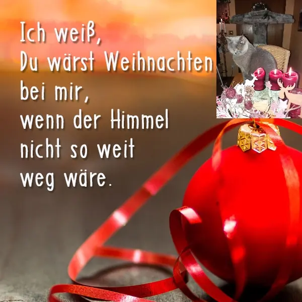 Condolence image of Sabine mit Kaspar tief im Herzen