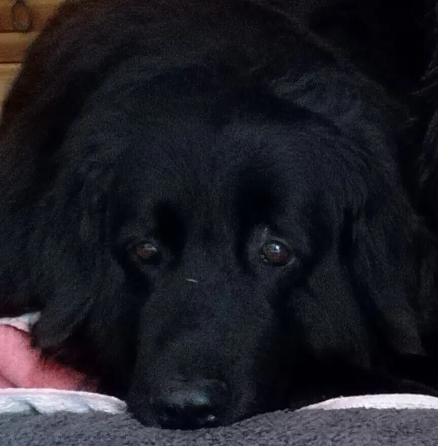 Condolence image of Antje