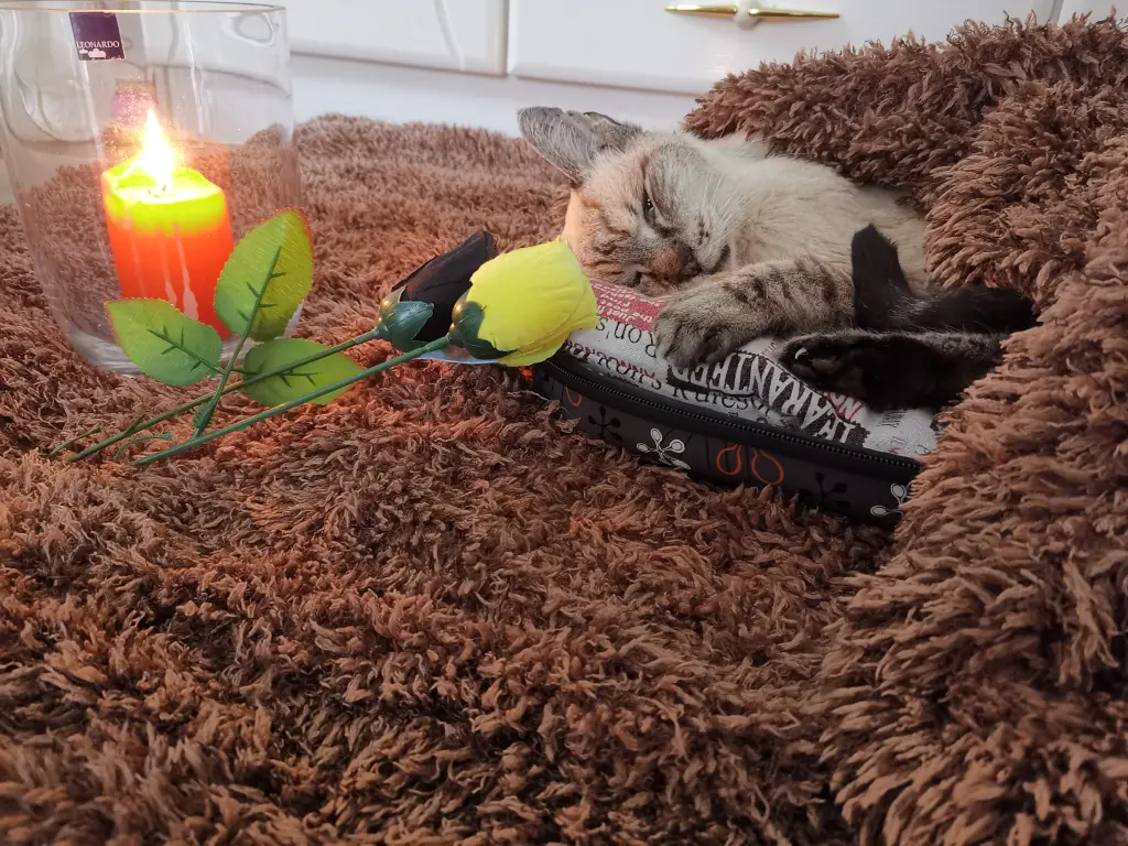 Condolence image of Gudrun 