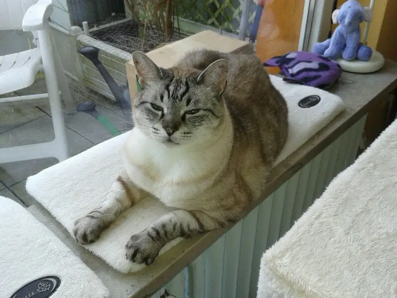 Condolence image of Gudrun