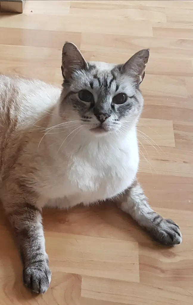 Condolence image of Gudrun 