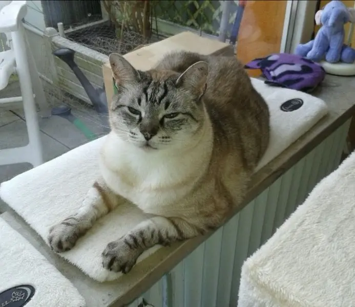 Condolence image of Gudrun