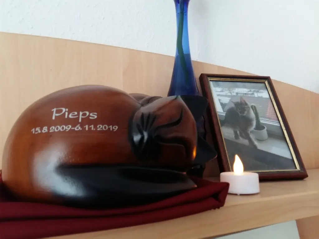 Image from Pieps