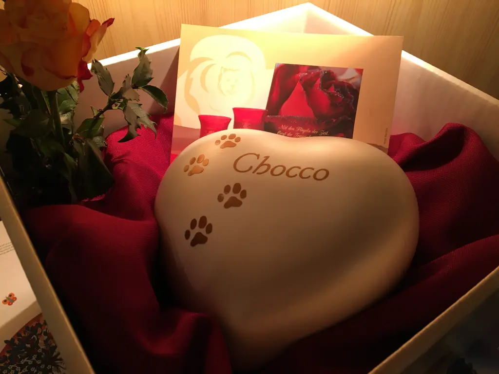 Image from Chocco