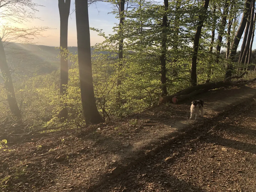 Image from Kara