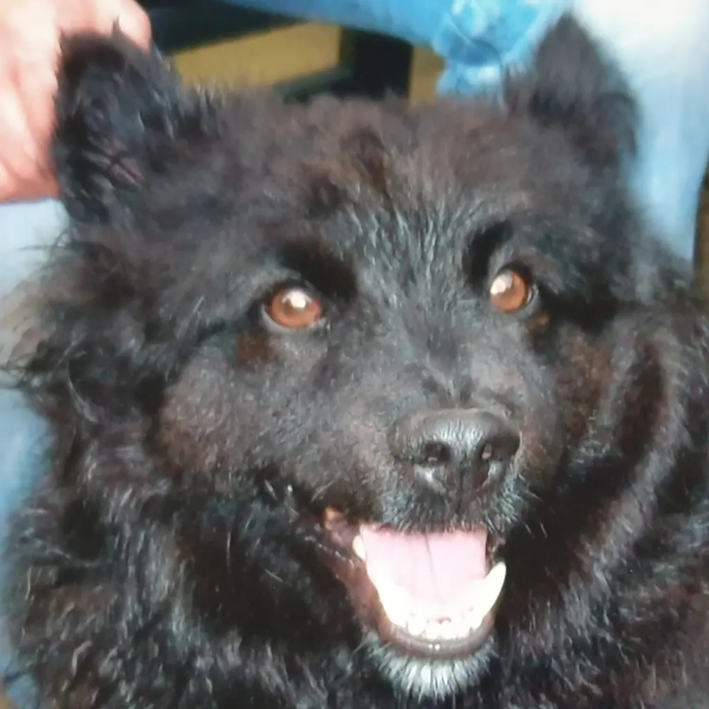 Andachtsbild von Elke mit Wolle tief im Herzen