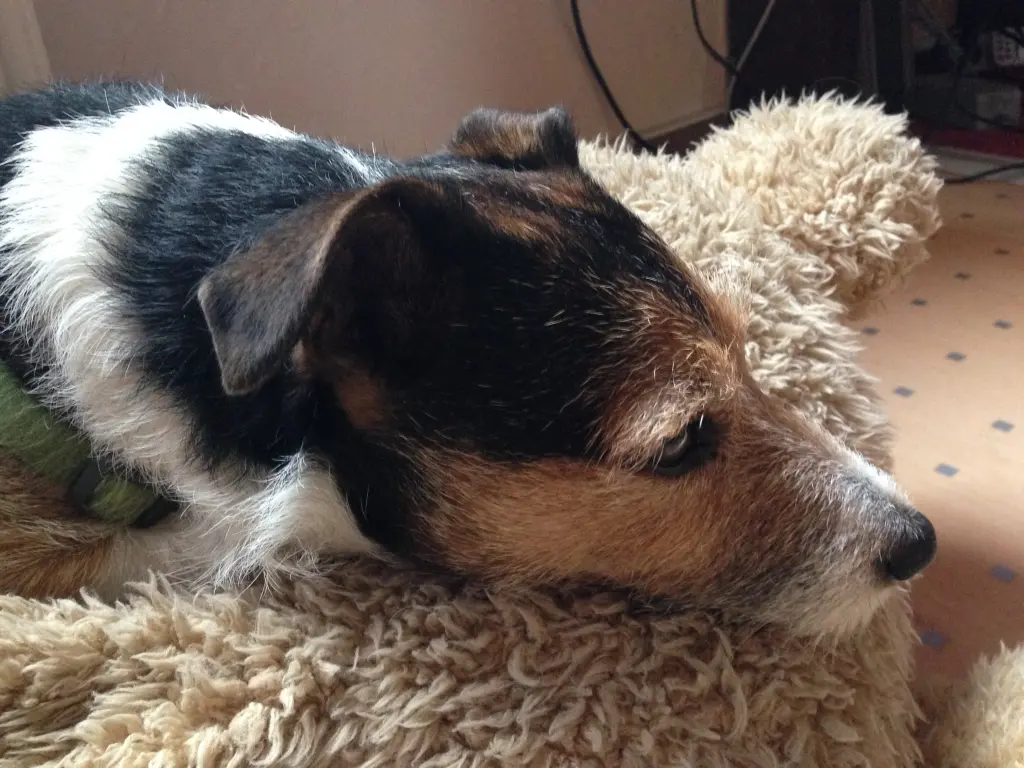 Andachtsbild von Claudia mit Pauline Herzen ♥️