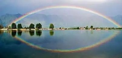 Andachtsbild von Rosen für Sandy