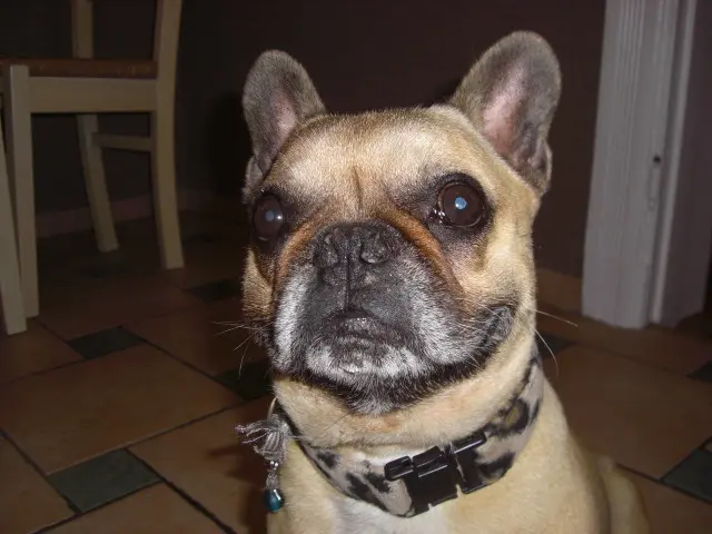 Condolence image of deine Mama