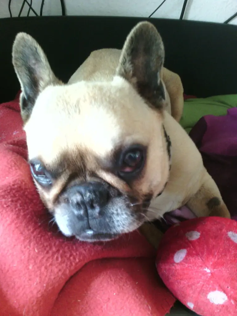 Condolence image of deine Mama