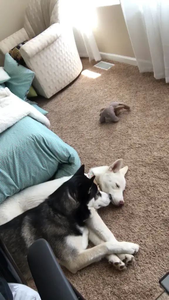 Andachtsbild von Unbekannt