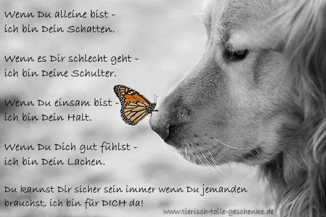 Andachtsbild von Unbekannt