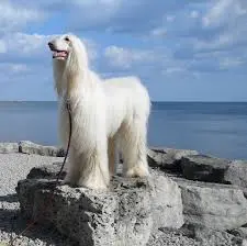 Andachtsbild von von Nellie tief im Herzen