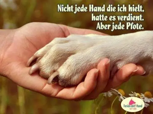 Andachtsbild von Unbekannt