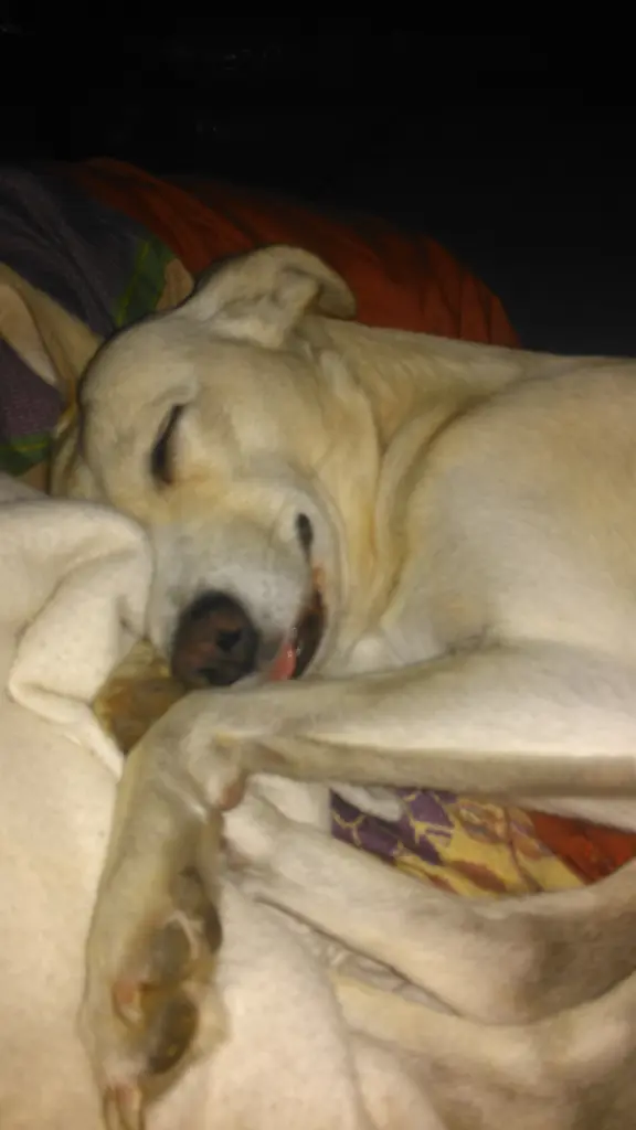 Andachtsbild von für unseren kleinen Schatz Linus