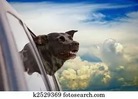 Andachtsbild von Unbekannt