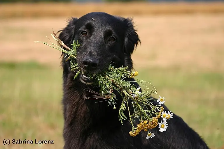 Andachtsbild von Cover tief im Herzen