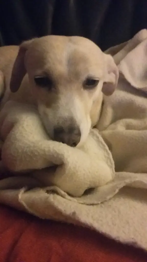 Andachtsbild von Unbekannt