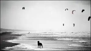 Andachtsbild von Unbekannt