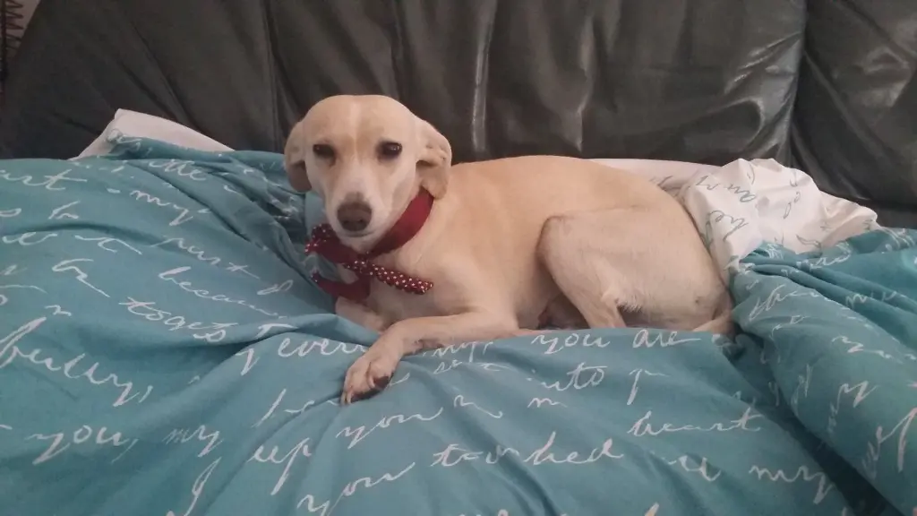 Andachtsbild von Vielen Dank Familie Geuzer