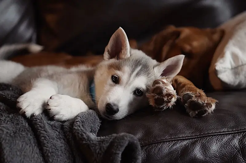 Andachtsbild von von Nelly und Nino tief im Herzen