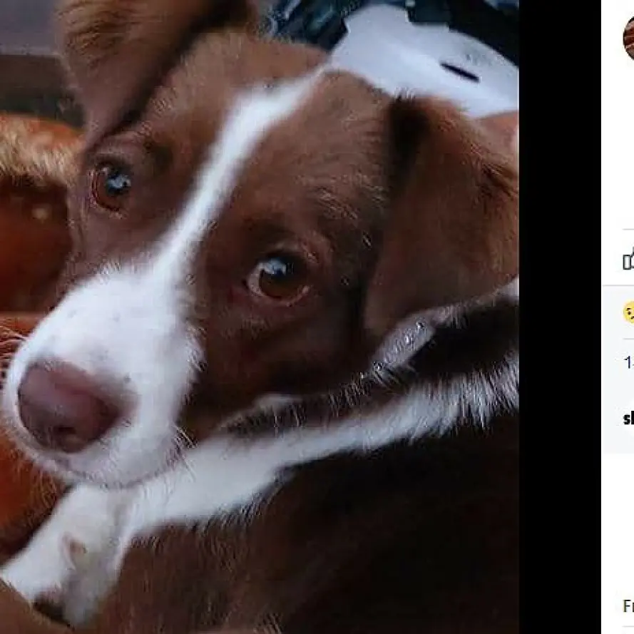 Andachtsbild von von gino tief im Herzen