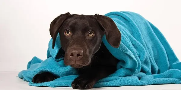 Andachtsbild von von Kira tief im Herzen