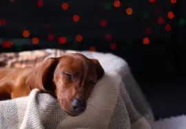 Andachtsbild von von Stella tief im Herzen